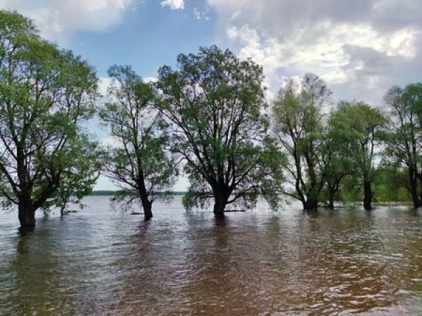 Inondation