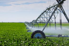 Irrigation agricole